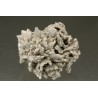 Barytocalcite