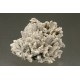Barytocalcite