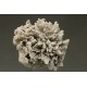 Barytocalcite